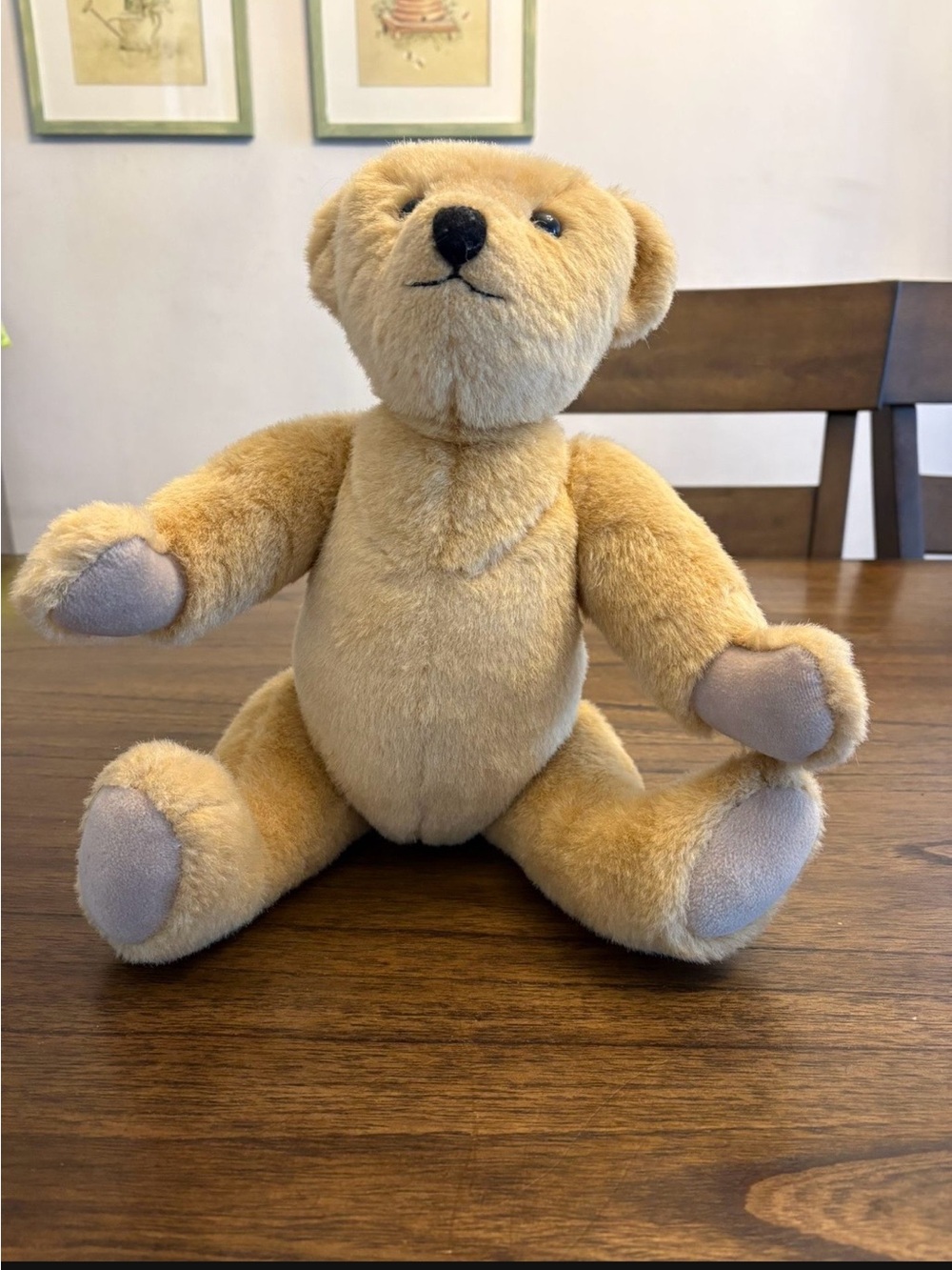 American Girl Teddy Bear 16” pleasant company
